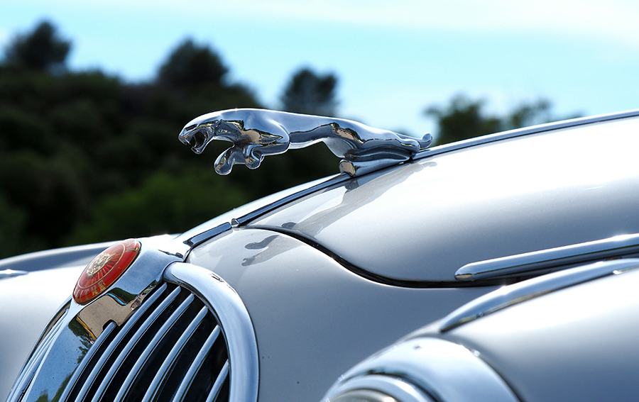Maintaining the Most Expensive Car Collections