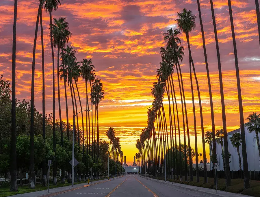 Our Experience as a Local Car Shipping Company in Illinois and California and Nearby Areas