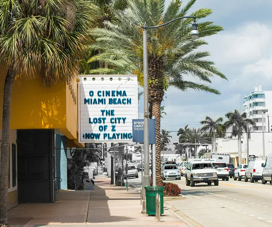 Our Experience as a Local Car Shipping Company in Michigan and Florida and Nearby Areas