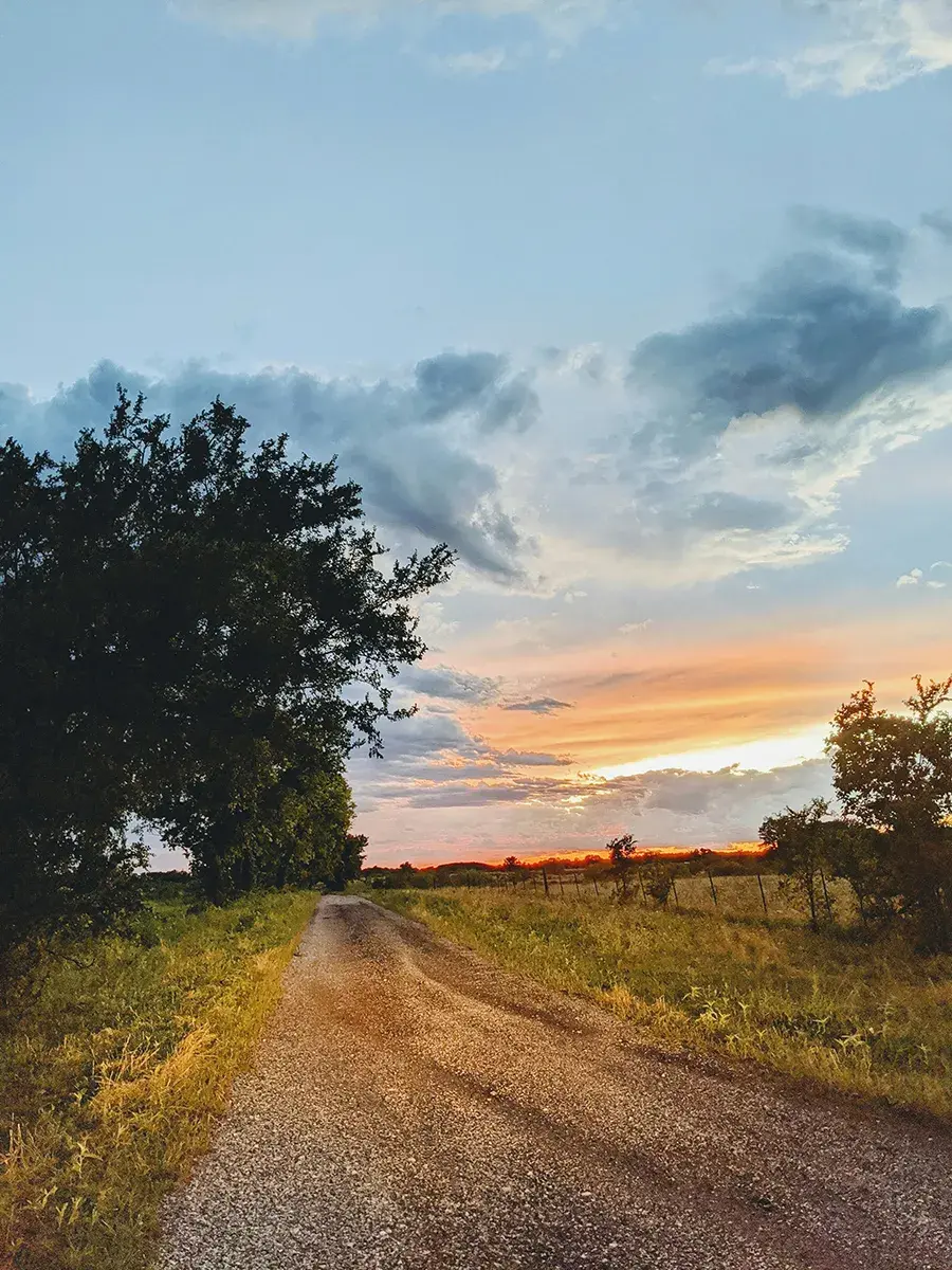 Our Experience as a Local Car Shipping Company in Missouri and Texas and Nearby Areas