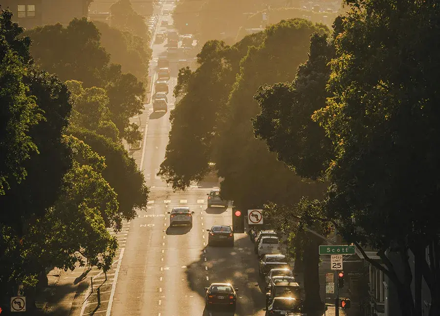 Car Shipping Company in New Jersey and California Serving Following Cities and ZIP Code Areas: